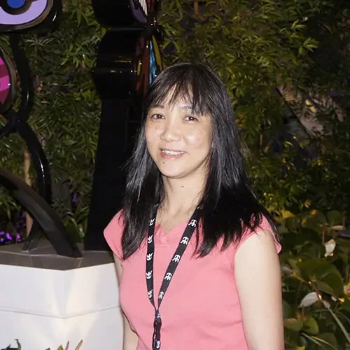 Lan Innovatum System Engineer picture